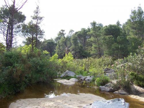 Wanderung entlang eines kleinen Flusses durch ein Naturschutzgebiet von Sithonia.