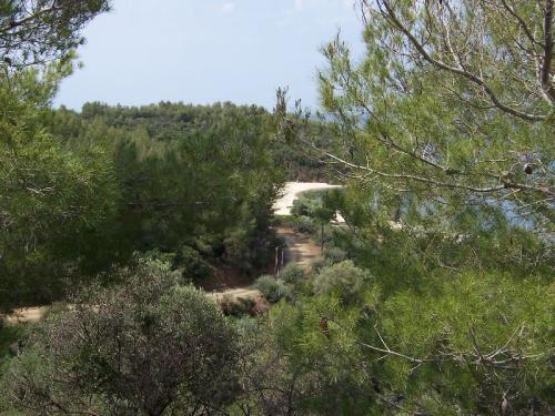 Kleine versteckte Sandbucht auf Sithonia.