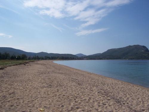 Blick nach links am Sandstrand von Toroni.