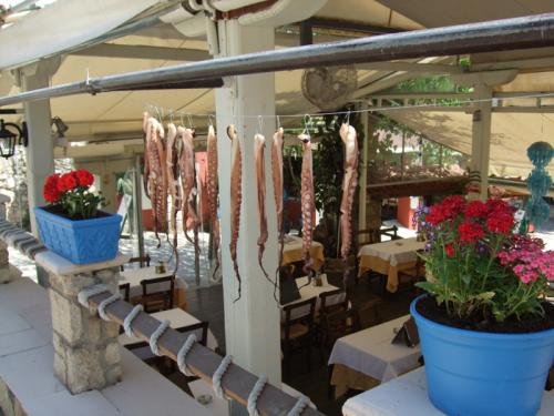 Einige Tavernen können tatsächlich mit frischem Fisch und Meeresfrüchten aufwarten.
