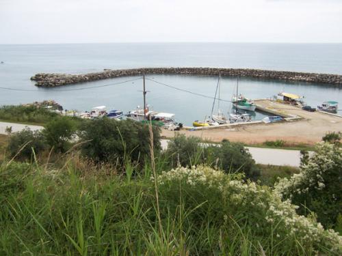 Vom Ort her schlängelt sich eine kleine Straße an Obstgärten vorbei bis hinunter zum Hafen