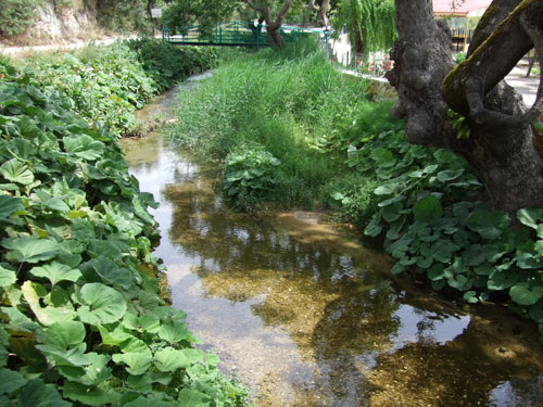 Dieser kleine - im Mai noch munter plätschernde - Fluss mündet im nörlichen Teil des Karavostasi Beach ins Meer