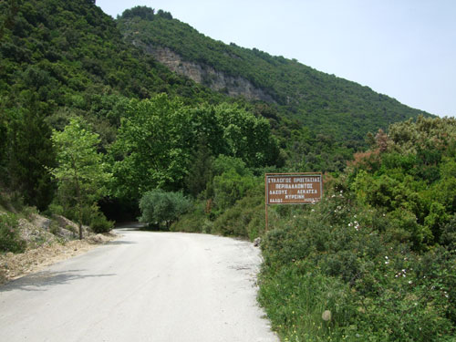 Beginn des Lekatsa Forest bei Megadendro und Mirsini