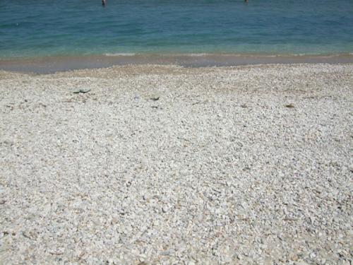 Der westliche (steinige Teil des Strandes von Acharavi