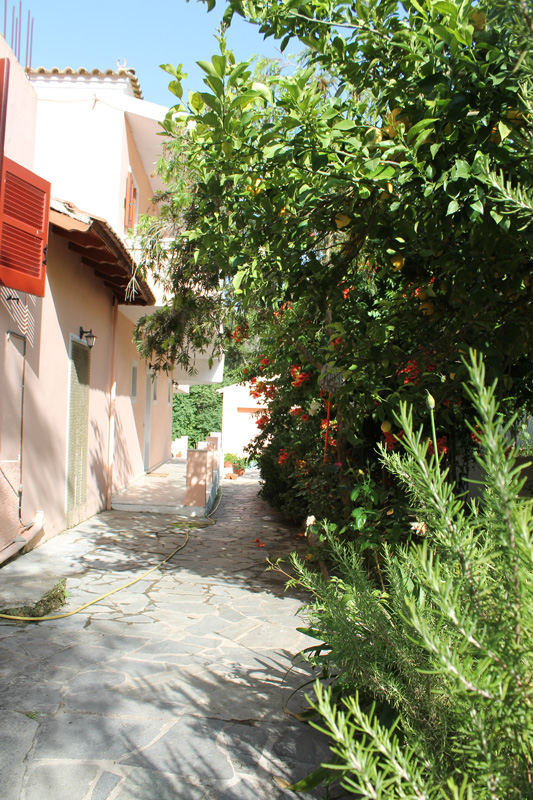 Dora Apartments Griechenlandreise.de