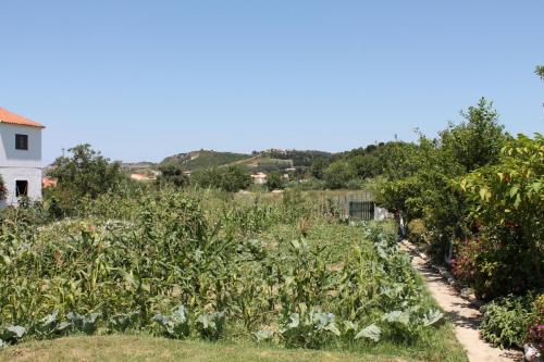 Gartenblick