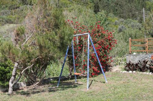 Schaukel vor der vorderen Terrasse des Hauses