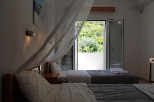 2-Zimmer-Apartment