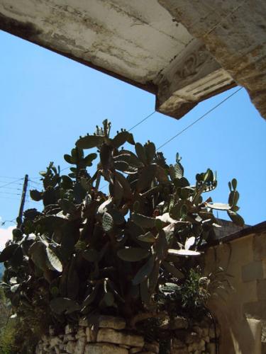 Distrikt Chania - Fres unter dem Dach.