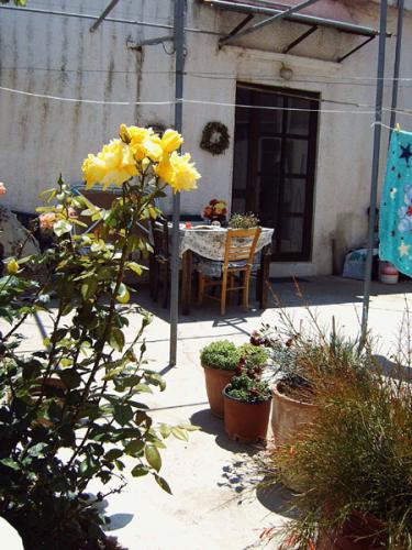 Distrikt Rethymnon - Vorgarten in Maroulas.