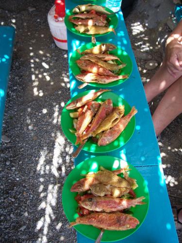 Angelausflug per Boot.