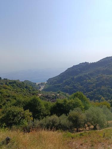 Agia Saranta