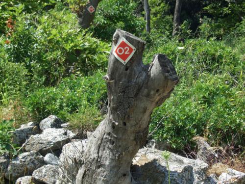 Der europäische Wanderweg o2 führt auf alten Eselspfaden durch dieses sonst absolut unwegsame Gebiet.