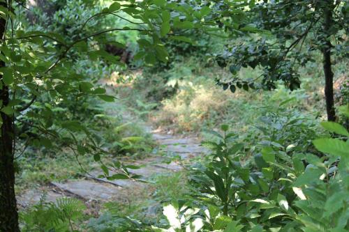 Wanderweg von Mouresi nach Damouchari.
