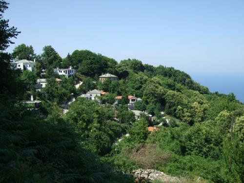 Blick auf einige der weit verstreut in den Hängen liegenden Häuser von Tsangarada.