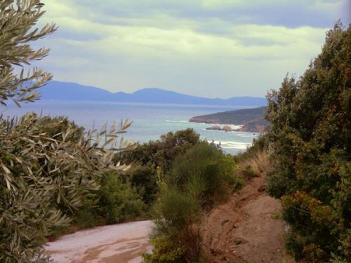 Potistika-Strand.
