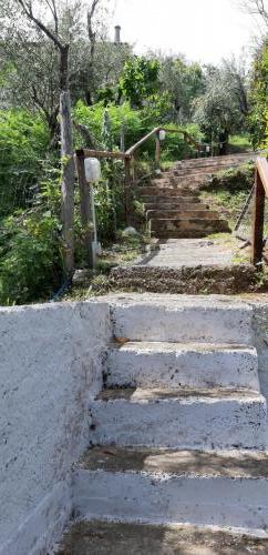 Diese Treppe führt hoch zur Straße.